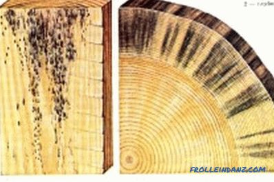 Protecția structurilor din lemn de putregai și mucegai: recomandări