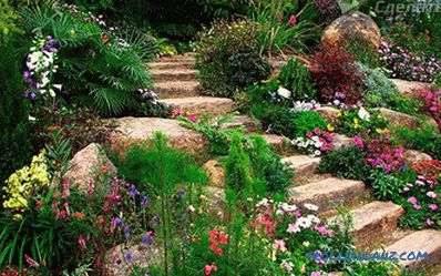 Grădină scară de grădină - aranjament de suprafață neuniformă + desene