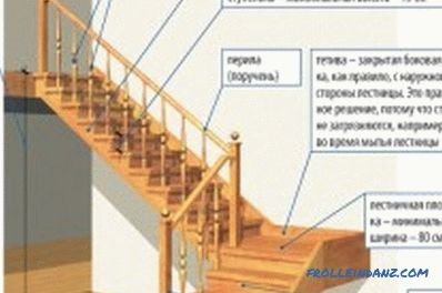 Cum să faci scările din lemn de diferite rase?