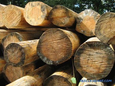 Cum de a trata lemnul din mucegai și mucegai?